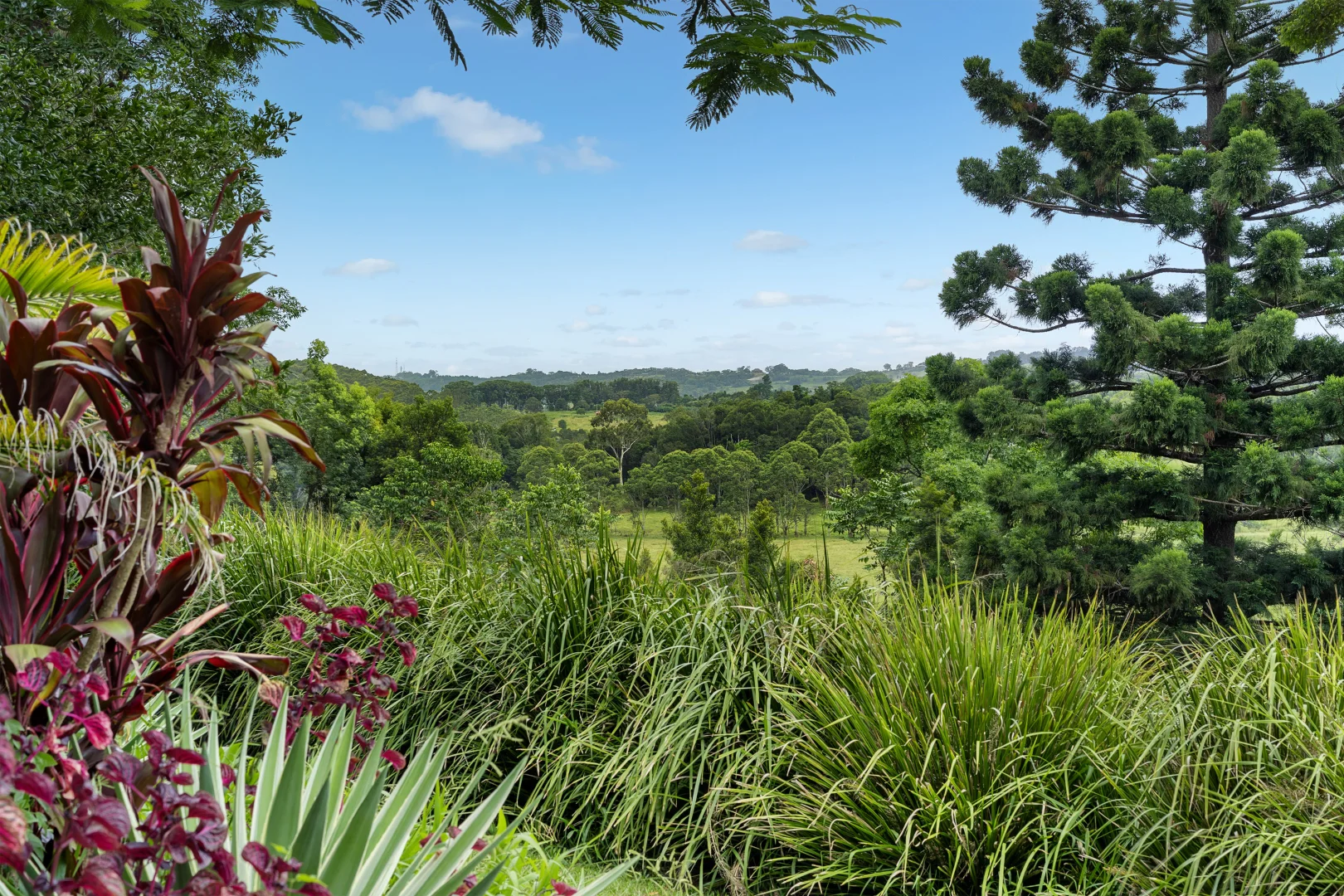 Additional image 4 of 29 Pinegroves Road, Myocum NSW 2481