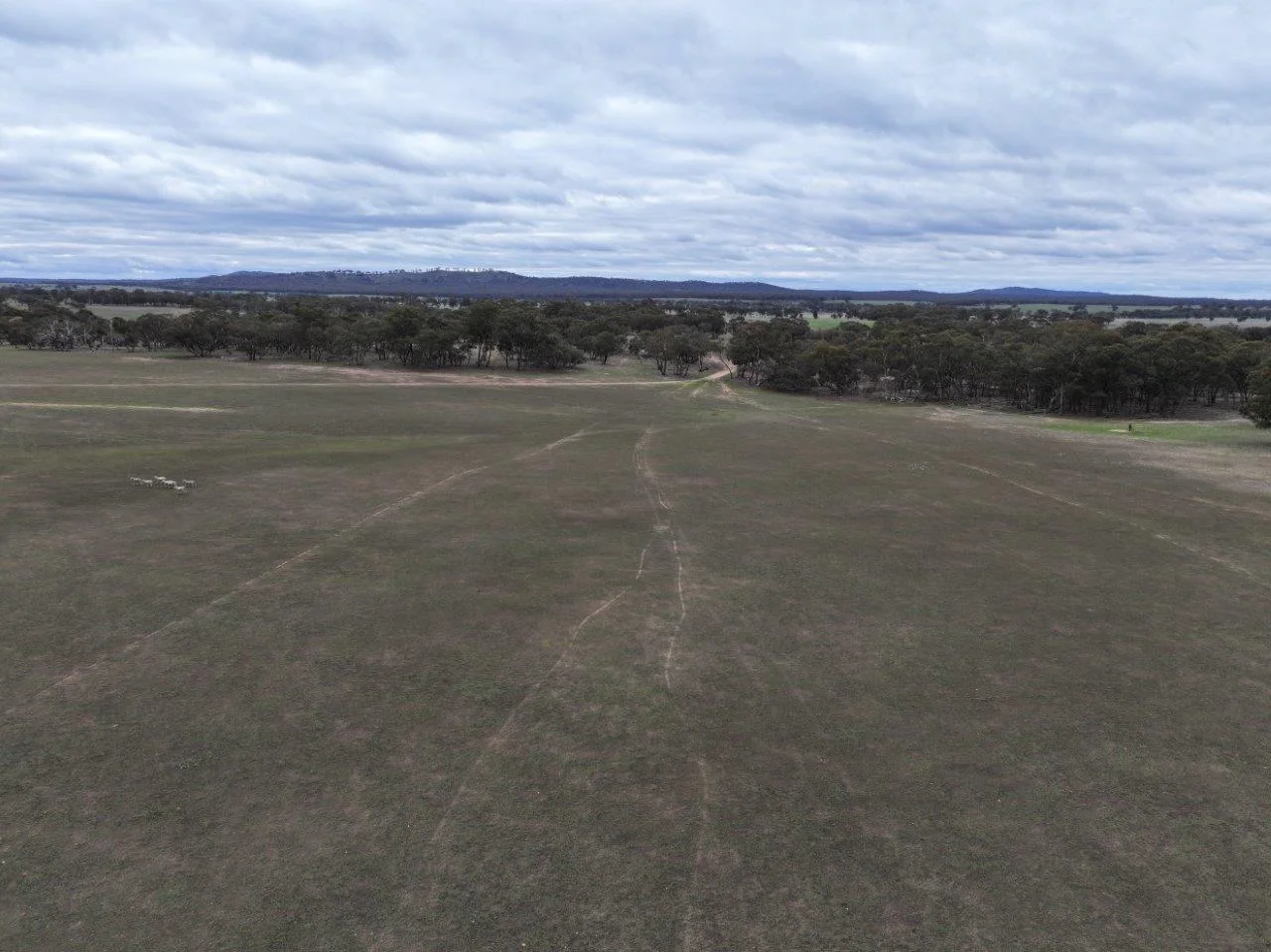 Additional image 11 of Lot 1 Rheola - Llanelly Road, Murphys Creek VIC 3551