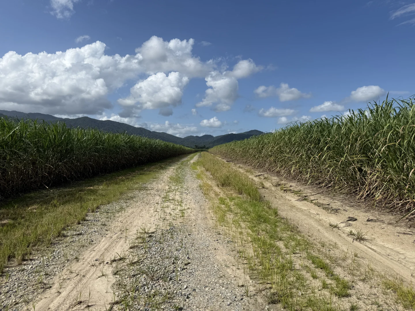 Additional image 6 of Midgenoo QLD 4854