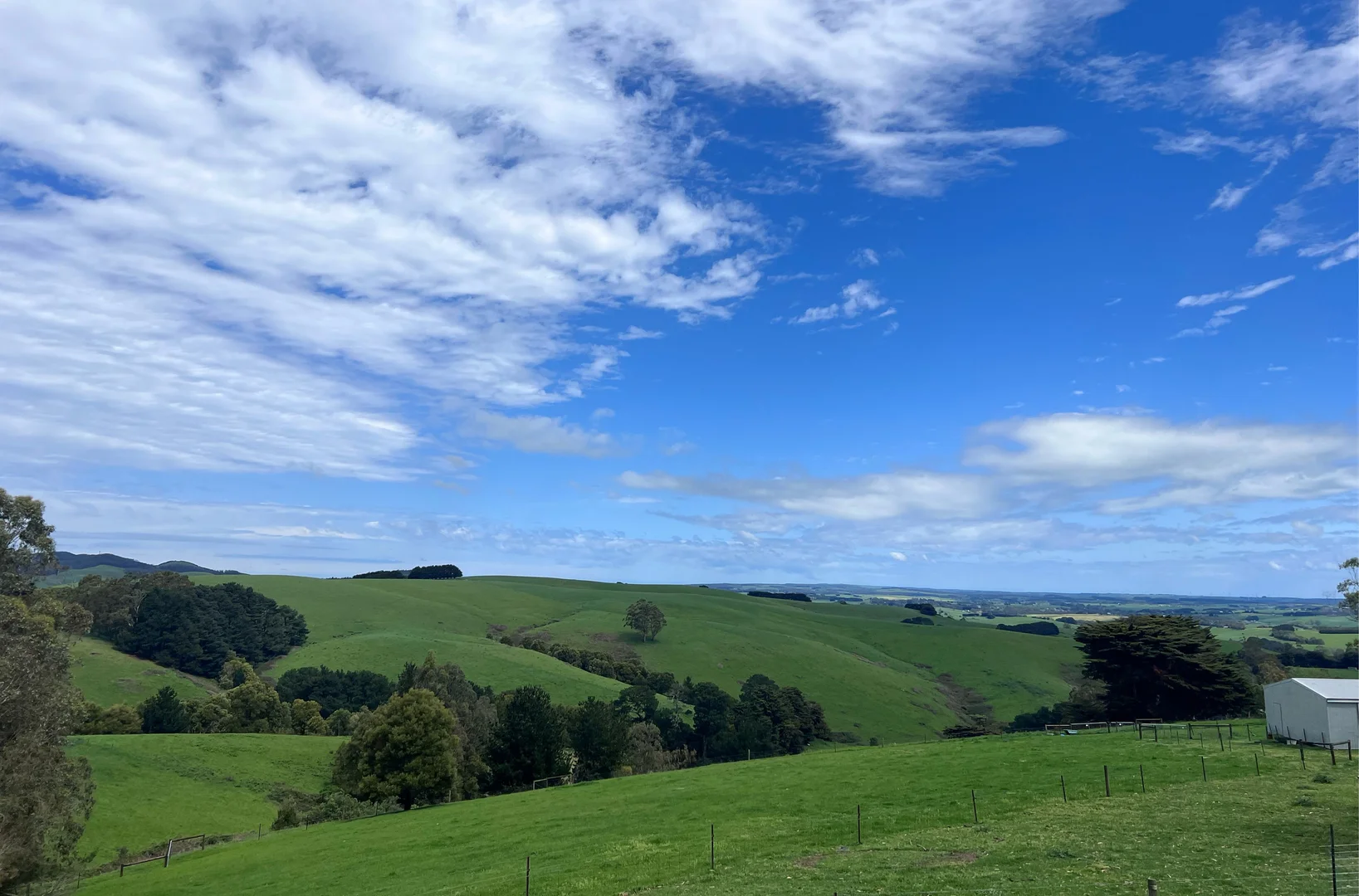 Additional image 25 of Foster VIC 3960