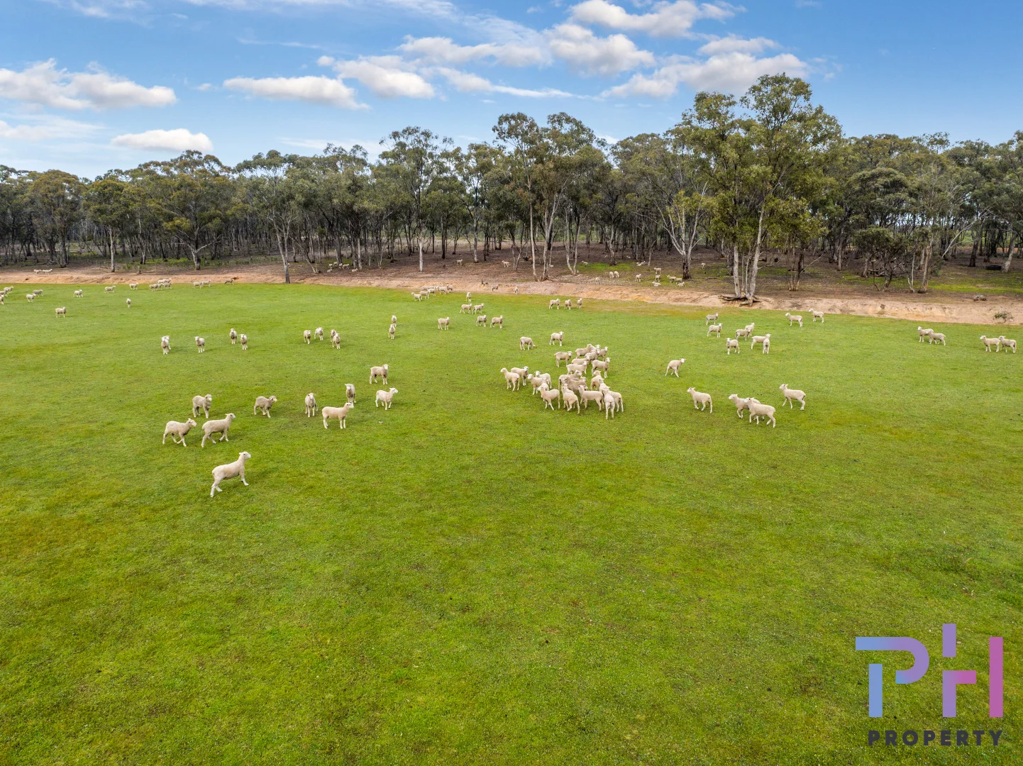Additional image 4 of 43 Rowe Lane, Marong VIC 3515