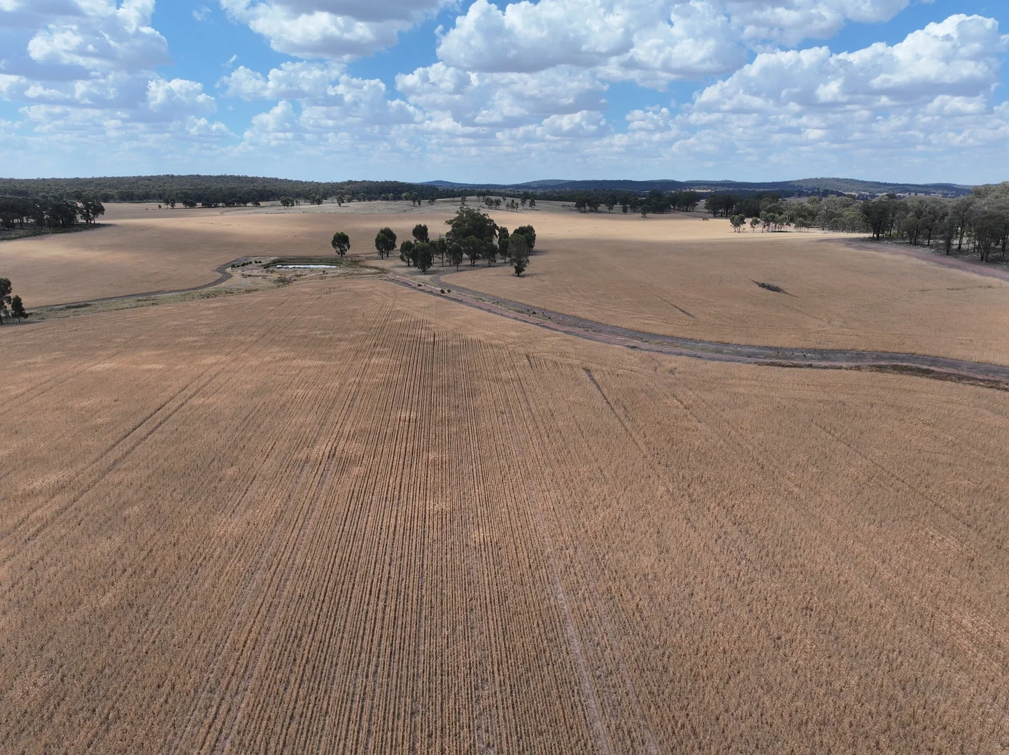Additional image 3 of 'Quondi', Dirnaseer Road, Combaning NSW 2666