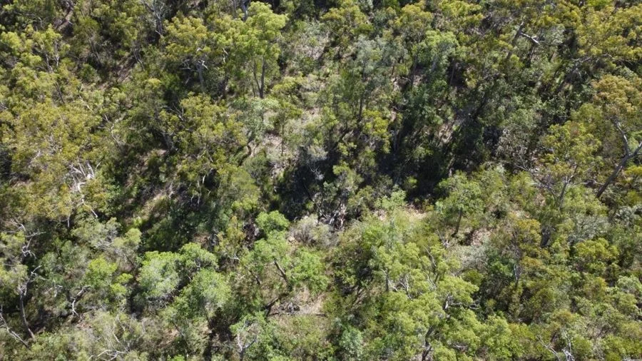 Additional image 20 of Lot 26 Tableland Road, Mount Maria QLD 4674