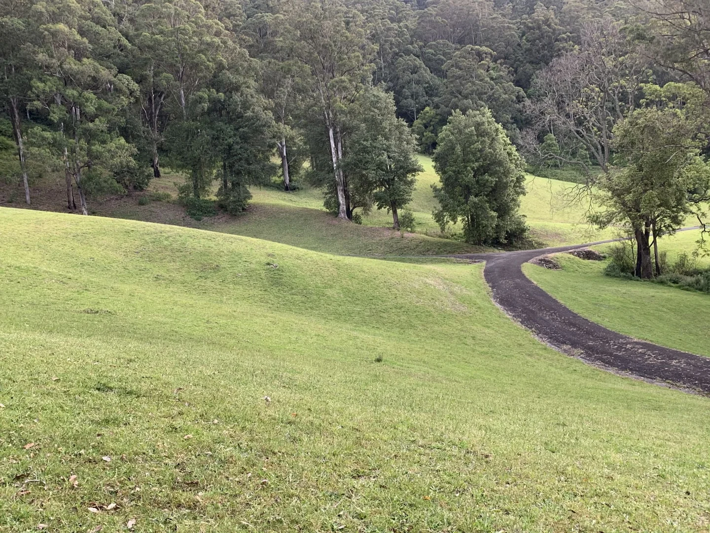 Additional image 24 of 65d Marden Lane, Kangaroo Valley NSW 2577