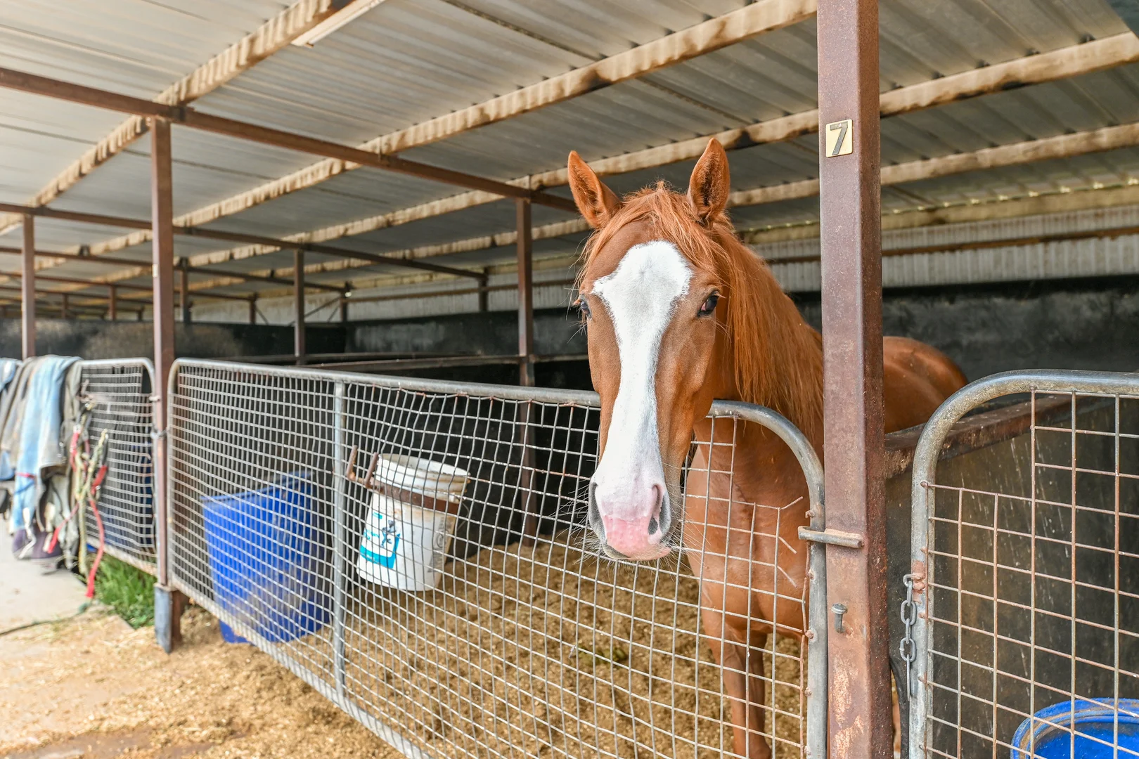 Additional image 14 of 50 Langley Road, Cranbourne South VIC 3977