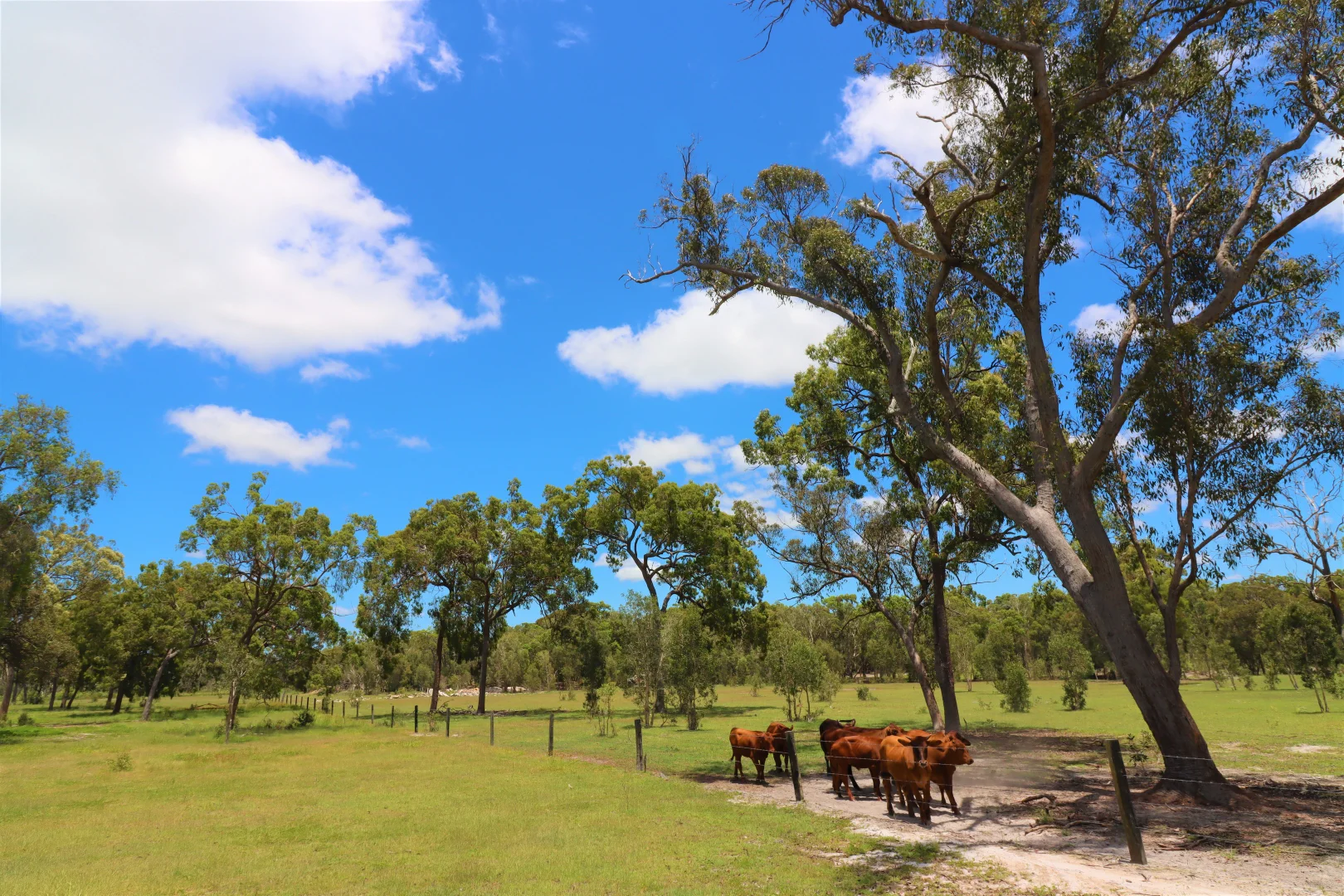 Additional image 31 of 670 Coonarr Rd, Coonarr QLD 4670