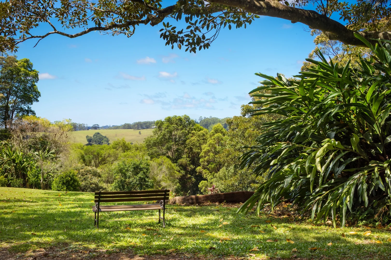 Additional image 17 of 403 Binna Burra Road, Federal NSW 2480