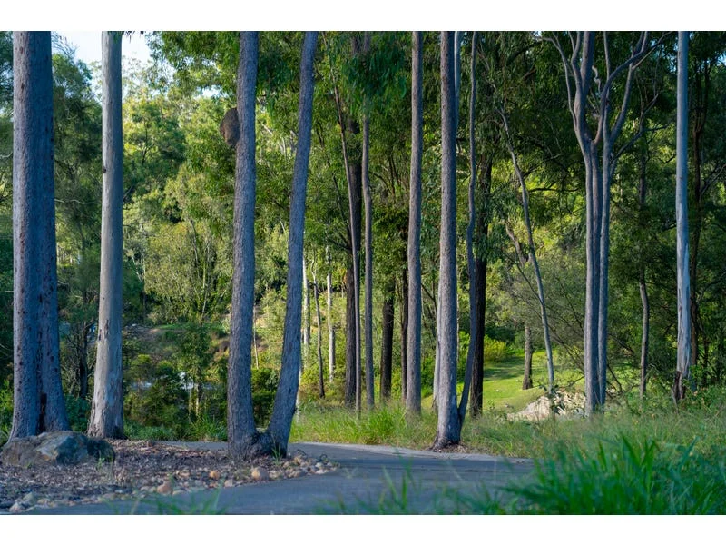Additional image 8 of Lot 2 The Address, Brookwater QLD 4300