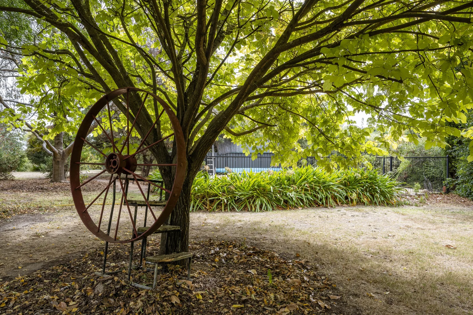 Additional image 17 of 206 Alma Road, Beechworth VIC 3747