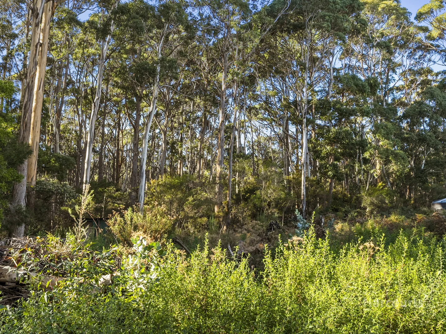 Additional image 12 of 334 Blowhole Road, Eaglehawk Neck TAS 7179