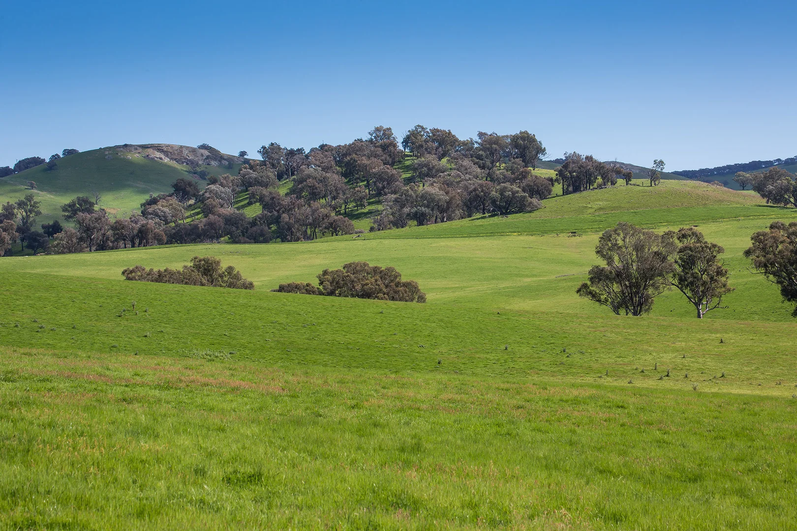 Additional image 15 of Holbrook NSW 2644