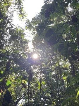 Additional image 7 of 51 Waterfall Place, Jubilee Heights QLD 4860