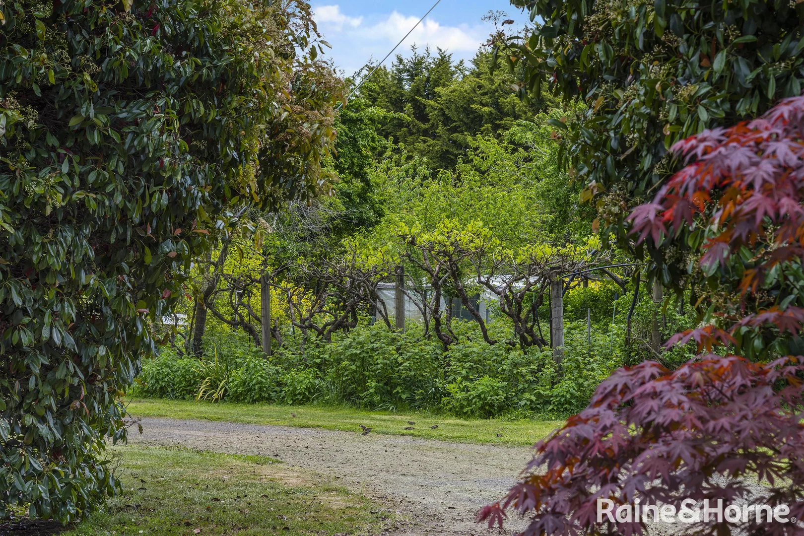 Additional image 42 of 545 Kyneton Springhill Road, Kyneton South VIC 3444