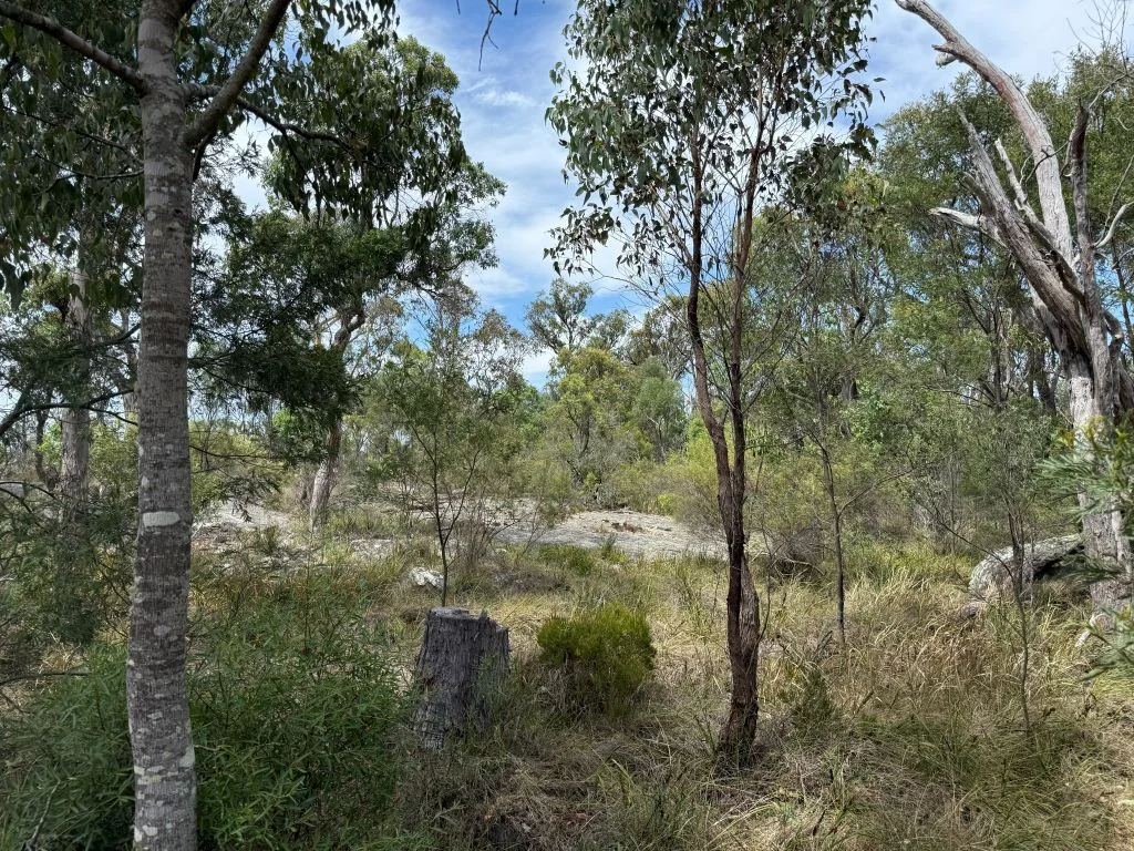 Additional image 32 of Lot 35 Pradella Road, Pozieres QLD 4352