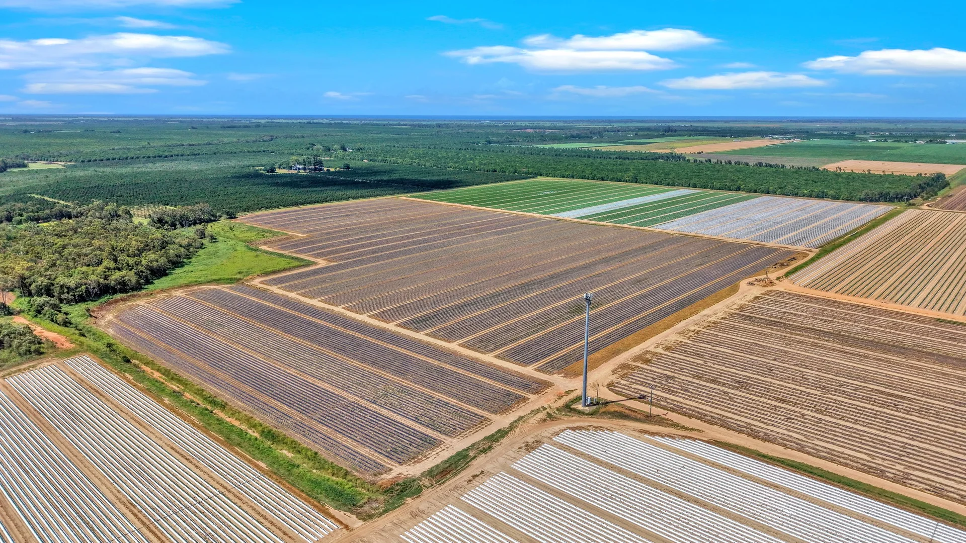 Additional image 17 of 195 Pashleys Road, Welcome Creek QLD 4670