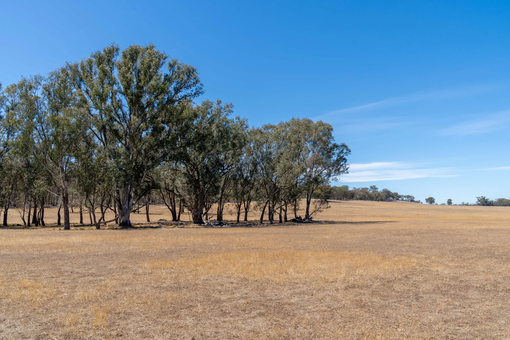 Additional image 10 of Lot/33 Delaney Road, Mitchellstown VIC 3608