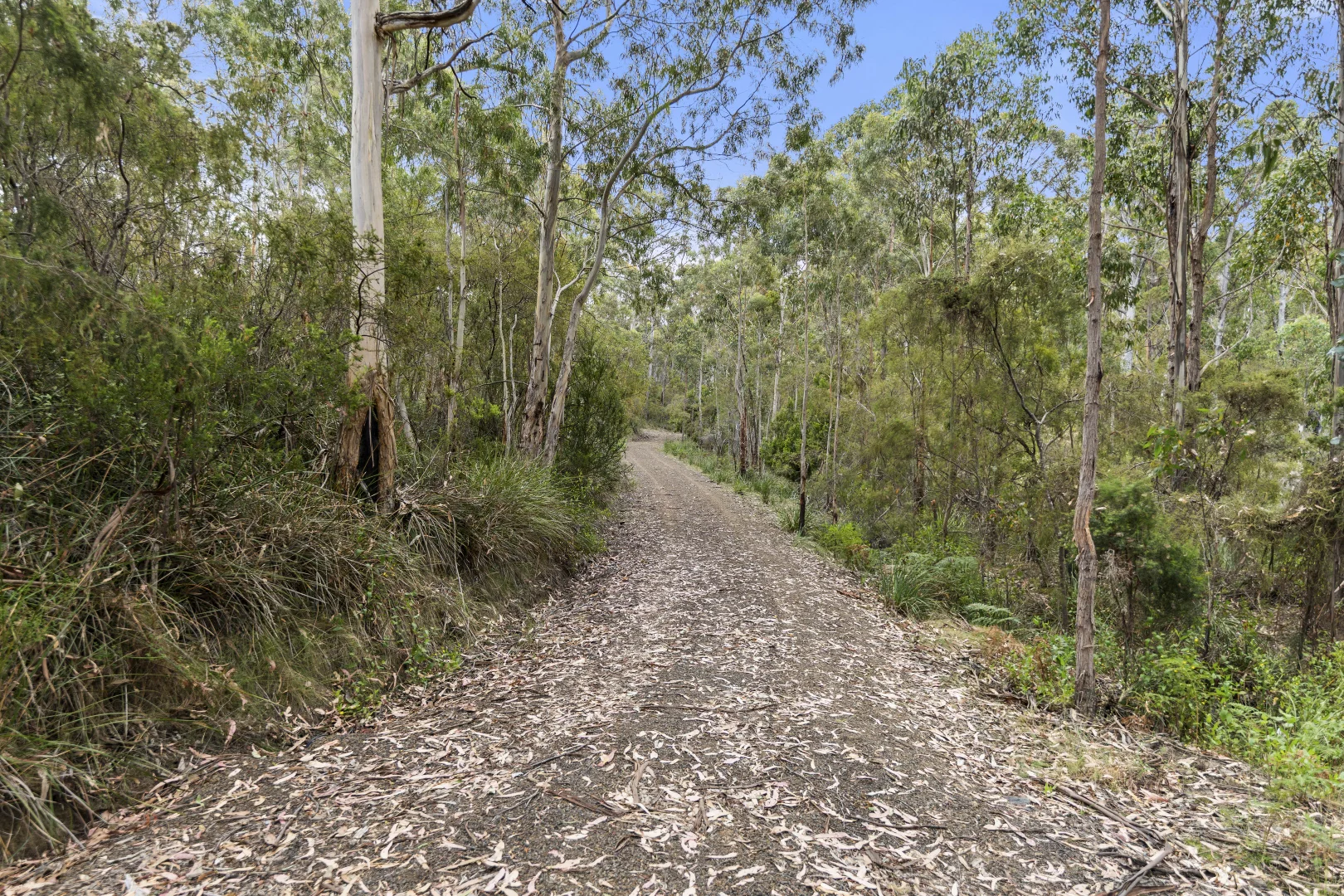 Additional image 6 of 5286 Channel Highway, Gordon TAS 7150