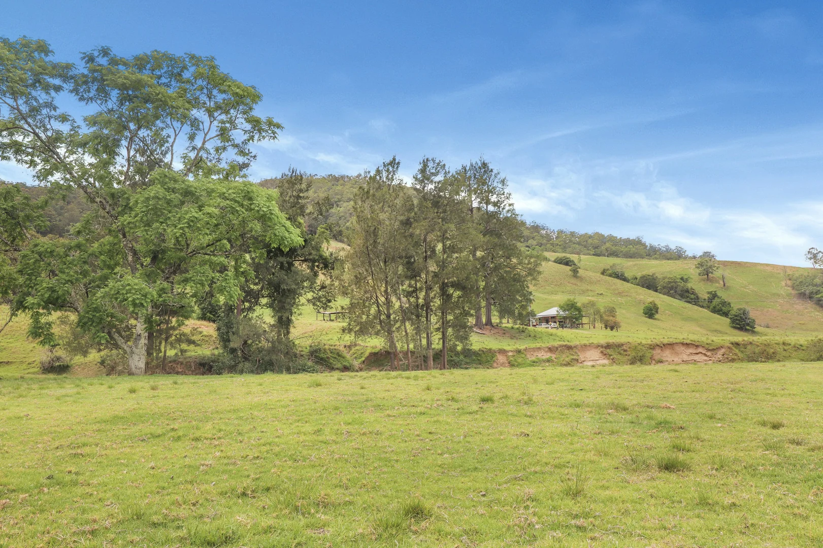 Additional image 41 of 3914 Taylors Arm Rd, Burrapine NSW 2447