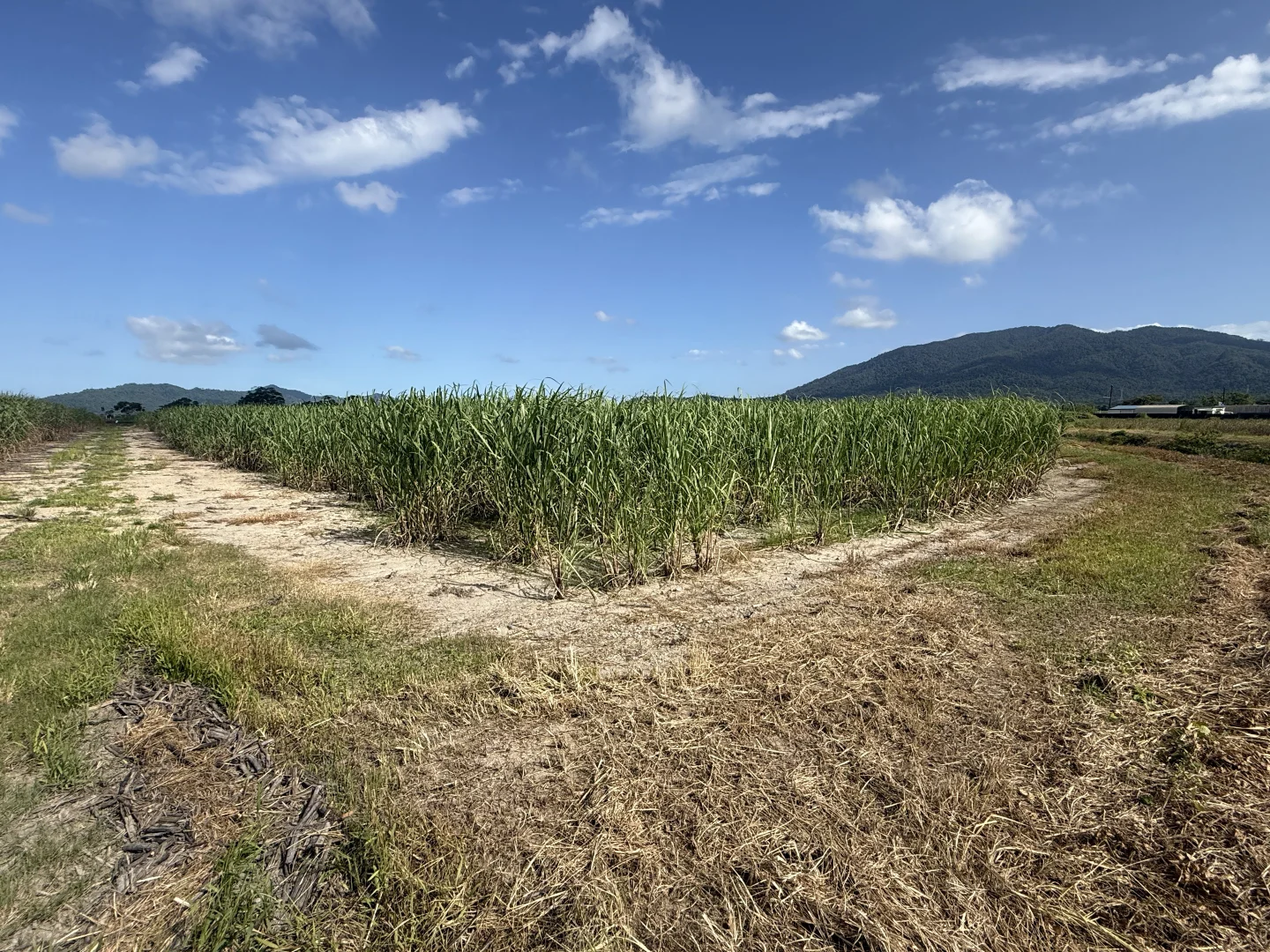Additional image 8 of Midgenoo QLD 4854