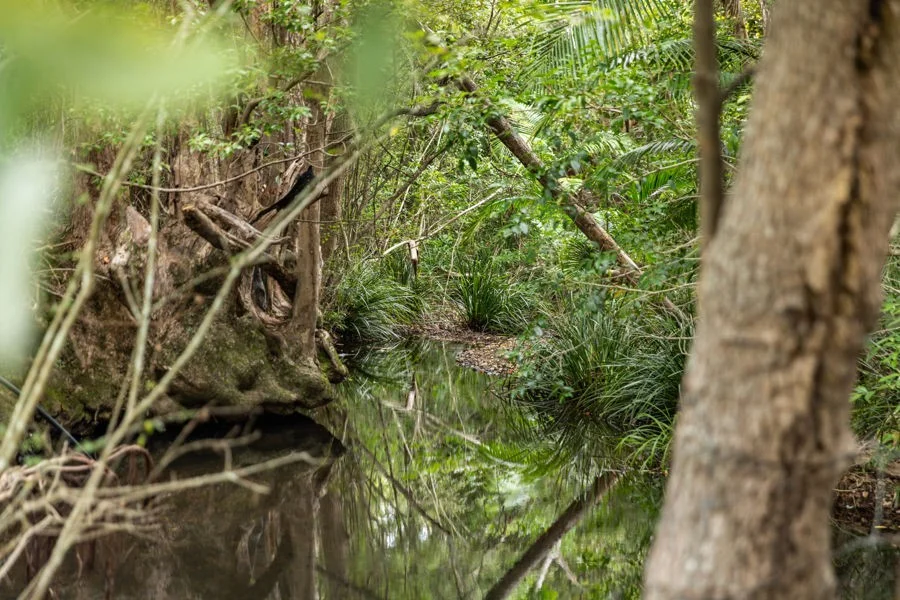 Additional image 27 of 279-279a North Bonville Road, Bonville NSW 2450