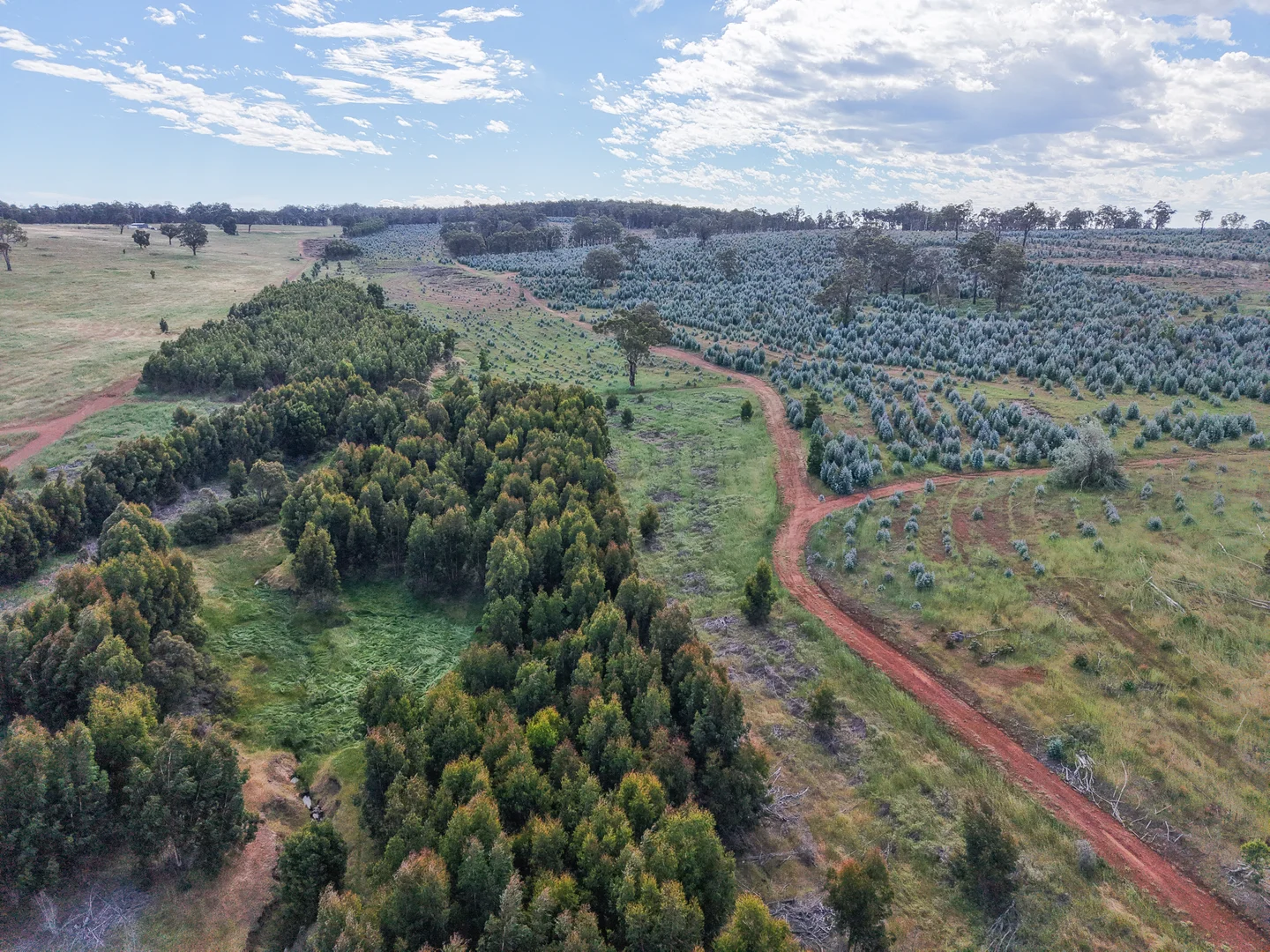 Additional image 16 of Lot 1251 Peninsula Road, Bridgetown WA 6255