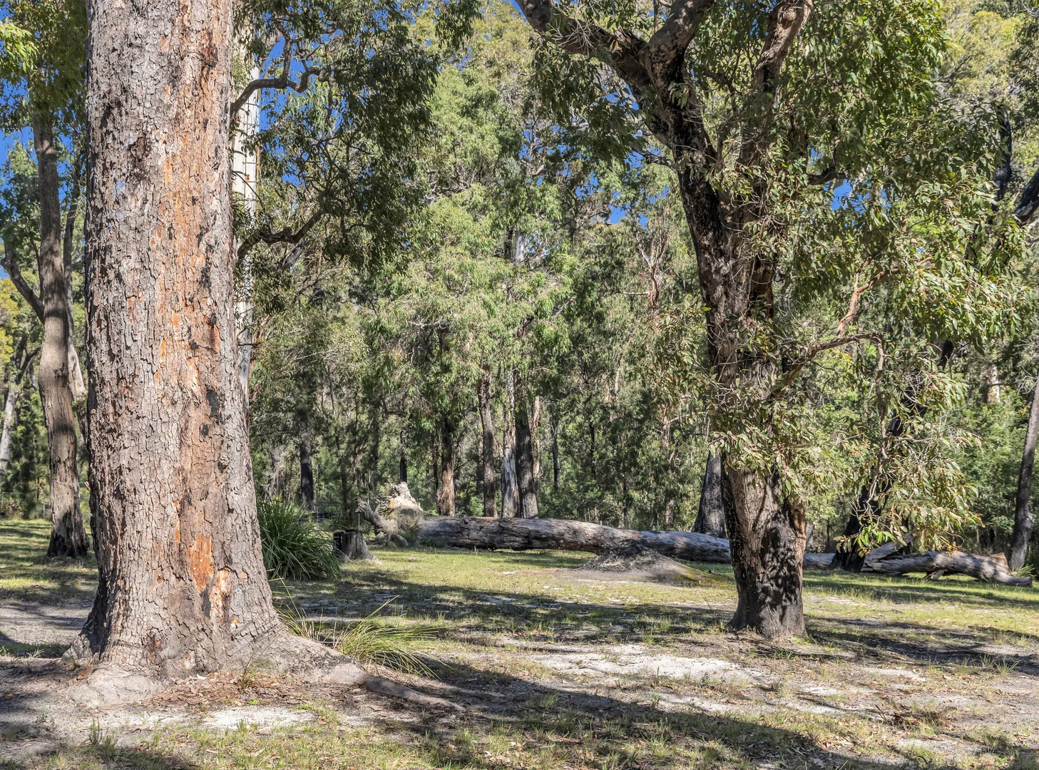 Additional image 22 of 3 Sylvia Court, Mallacoota VIC 3892