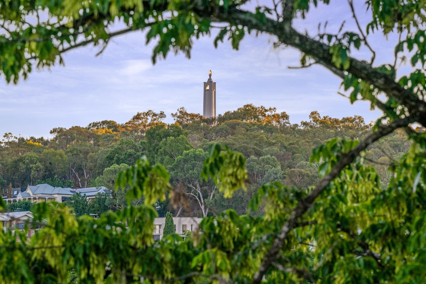 Additional image 24 of 696 Forrest Hill Avenue, Albury NSW 2640