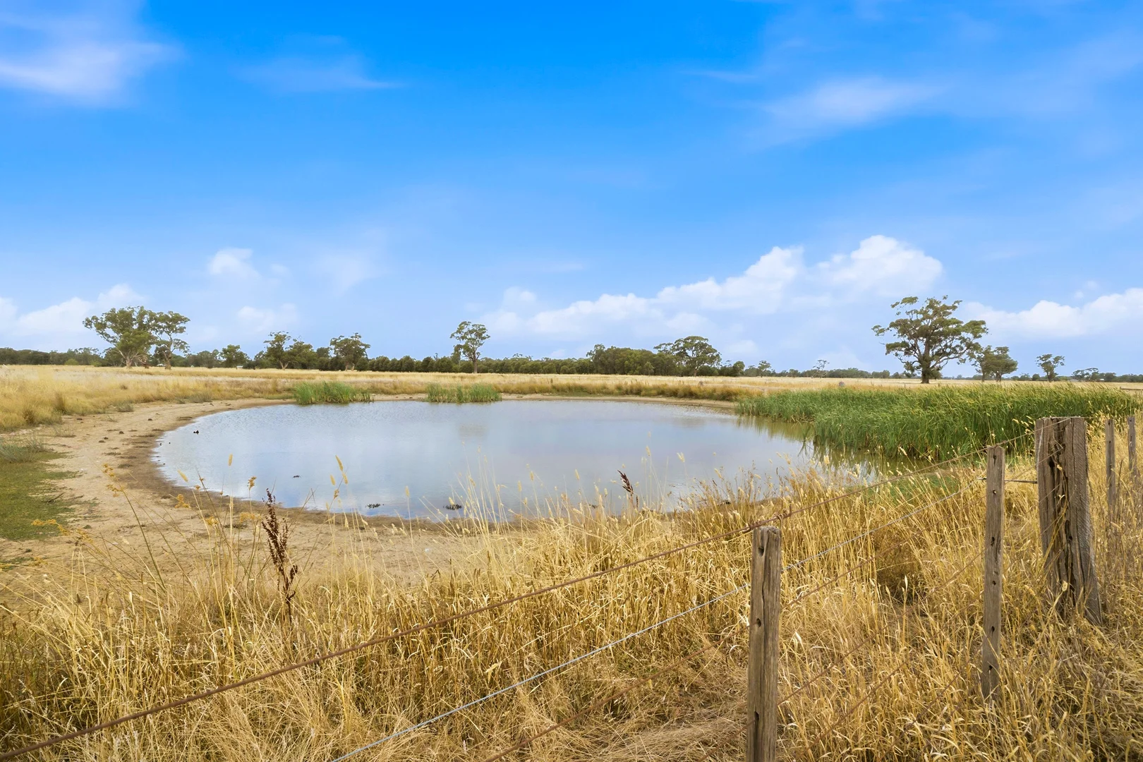 Additional image 12 of 565 Baulch Road, Dhurringile VIC 3610