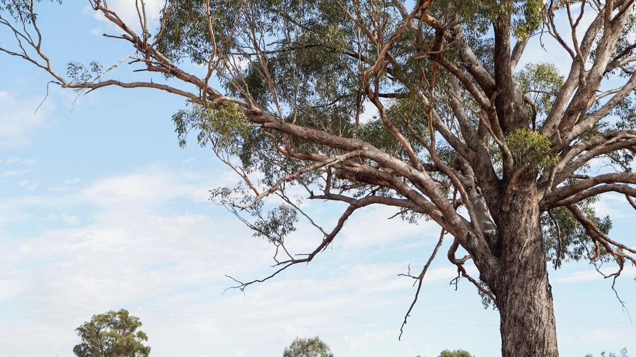 Additional image 21 of 2633 Bruie Plains Road, Bruie Plains NSW 2875