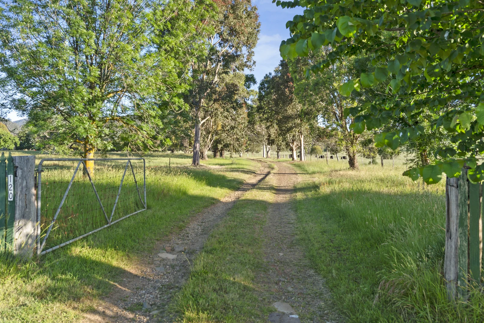 Additional image 13 of 120 Shanks Lane, Boorolite VIC 3723
