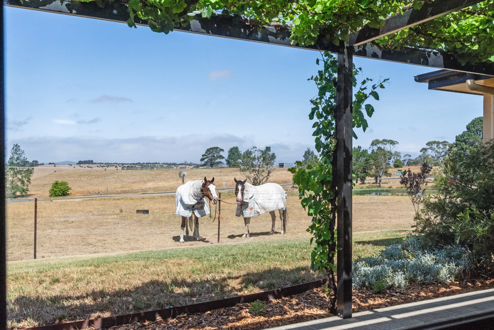 Additional image 23 of 12 Cooma Road, Braidwood NSW 2622