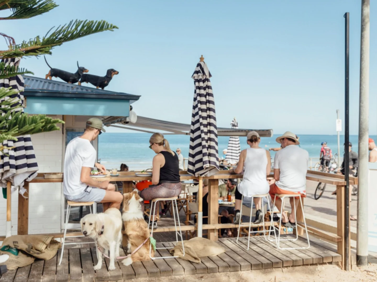 Additional image 14 of 26 Stewart Street, Henley Beach SA 5022
