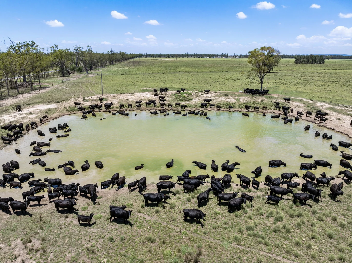 Additional image 26 of 2001 Millmerran Cecil Plains Road, Millmerran QLD 4357