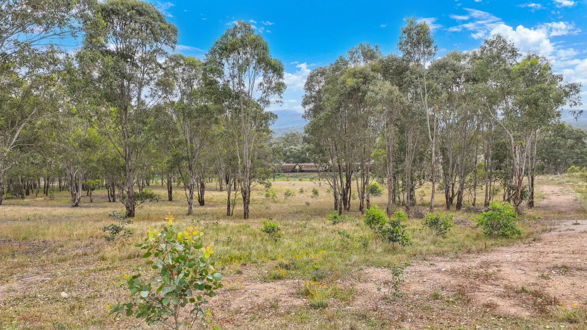 Additional image 25 of 5 Stage Woodland Ridge, Muswellbrook NSW 2333