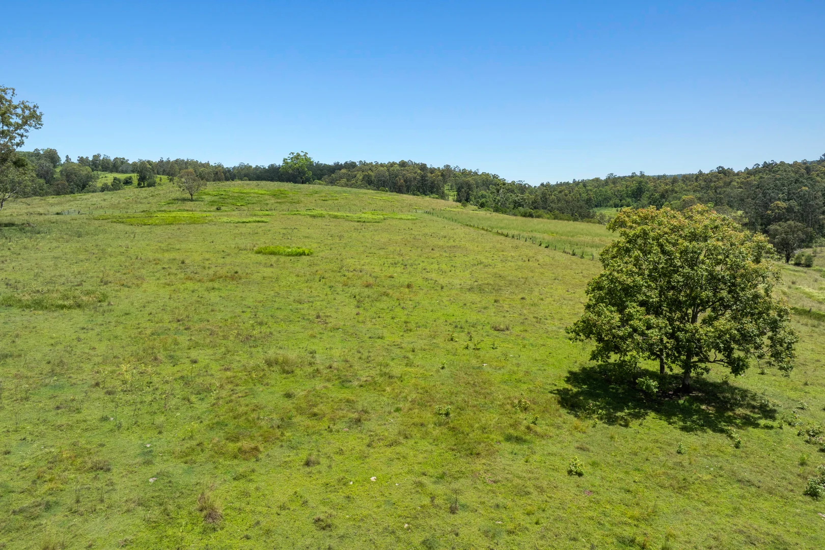 Additional image 16 of 665 Theresa Creek Road, Theresa Creek NSW 2469