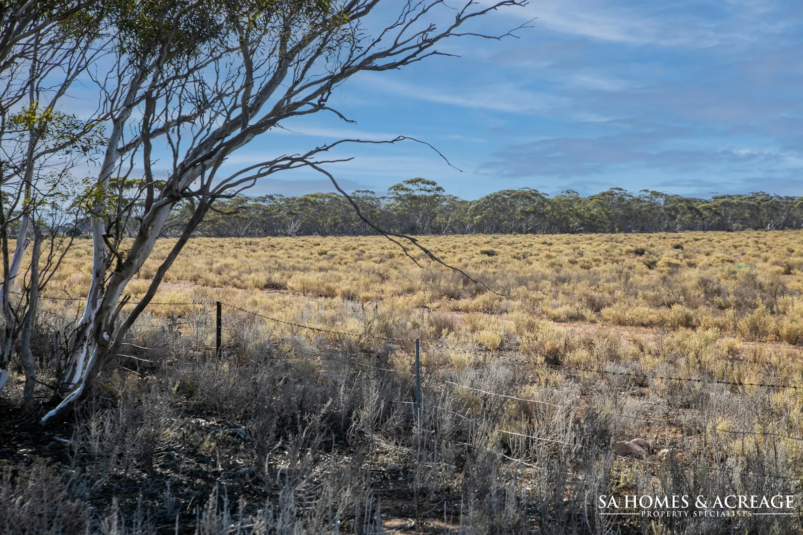 Additional image 15 of Lot 267 Linkes Woolshed Road, Steinfeld SA 5356