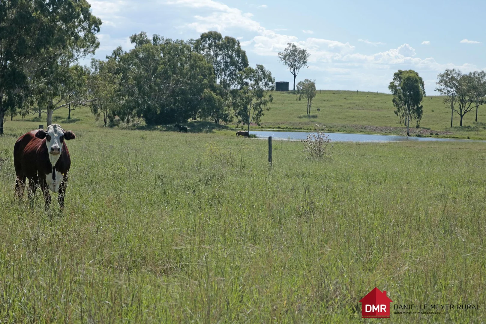 Additional image 3 of 95 Monto Mount Perry Road, Tellebang QLD 4630