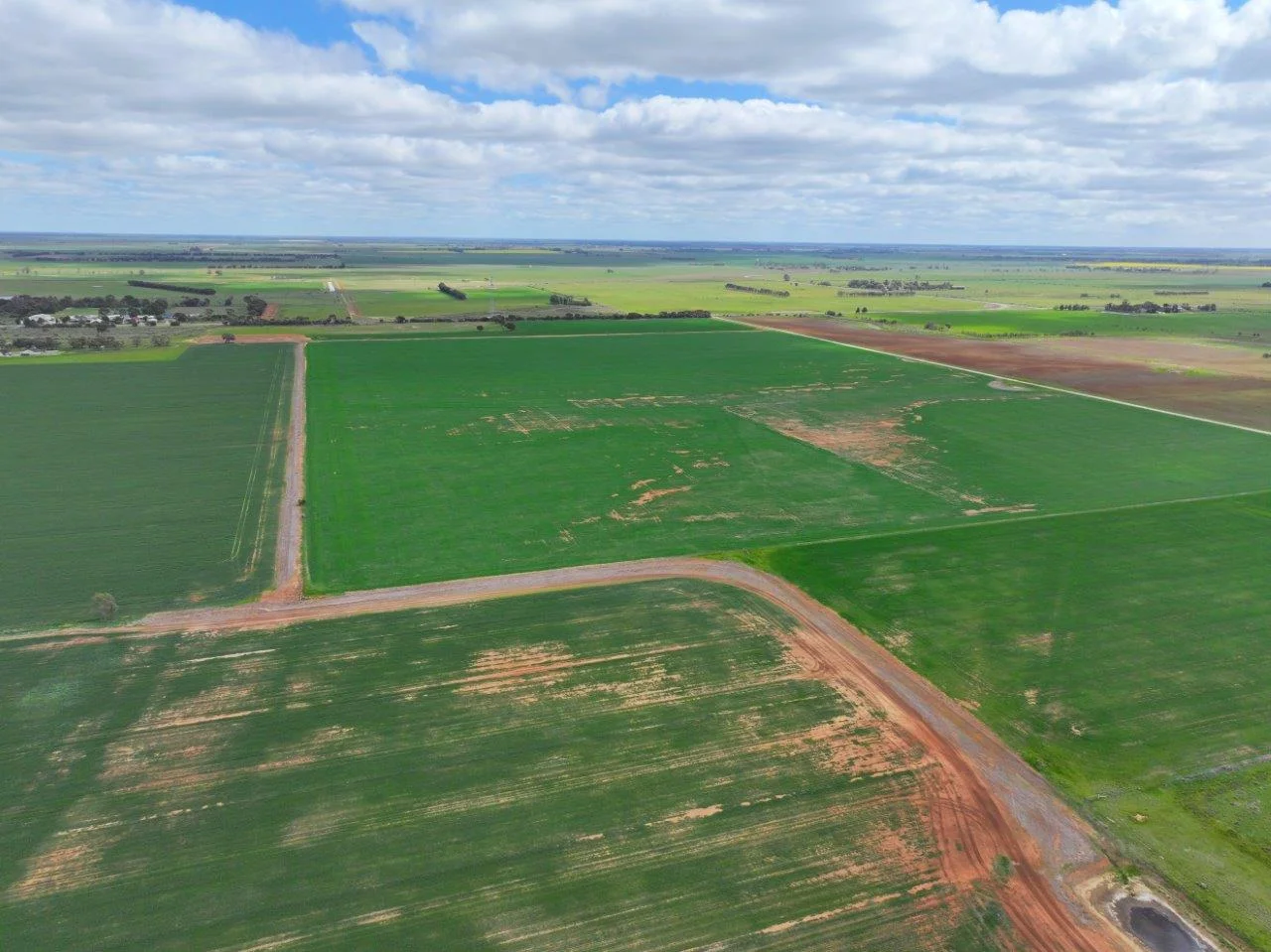 Additional image 19 of - Oneil Street, Pyramid Hill VIC 3575