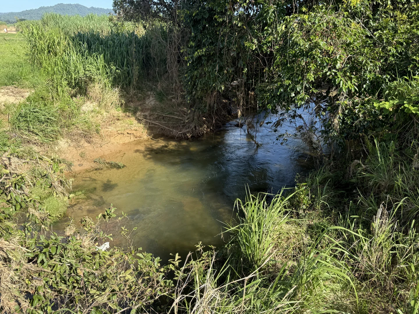 Additional image 14 of Midgenoo QLD 4854