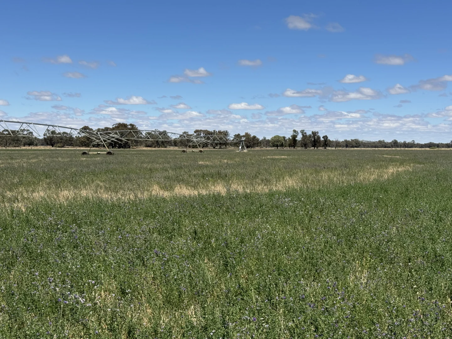 Additional image 46 of 300 Devon Road, Deniliquin NSW 2710