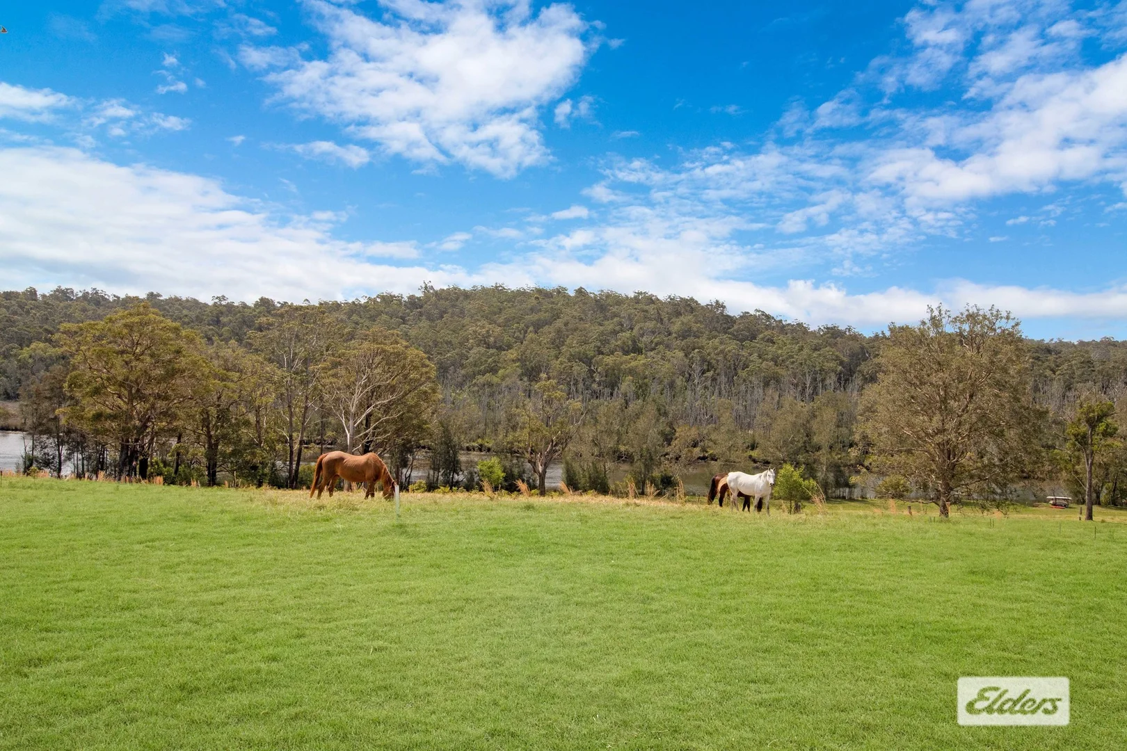 Additional image 24 of 293 -295 Old Nelligen Road, Nelligen NSW 2536