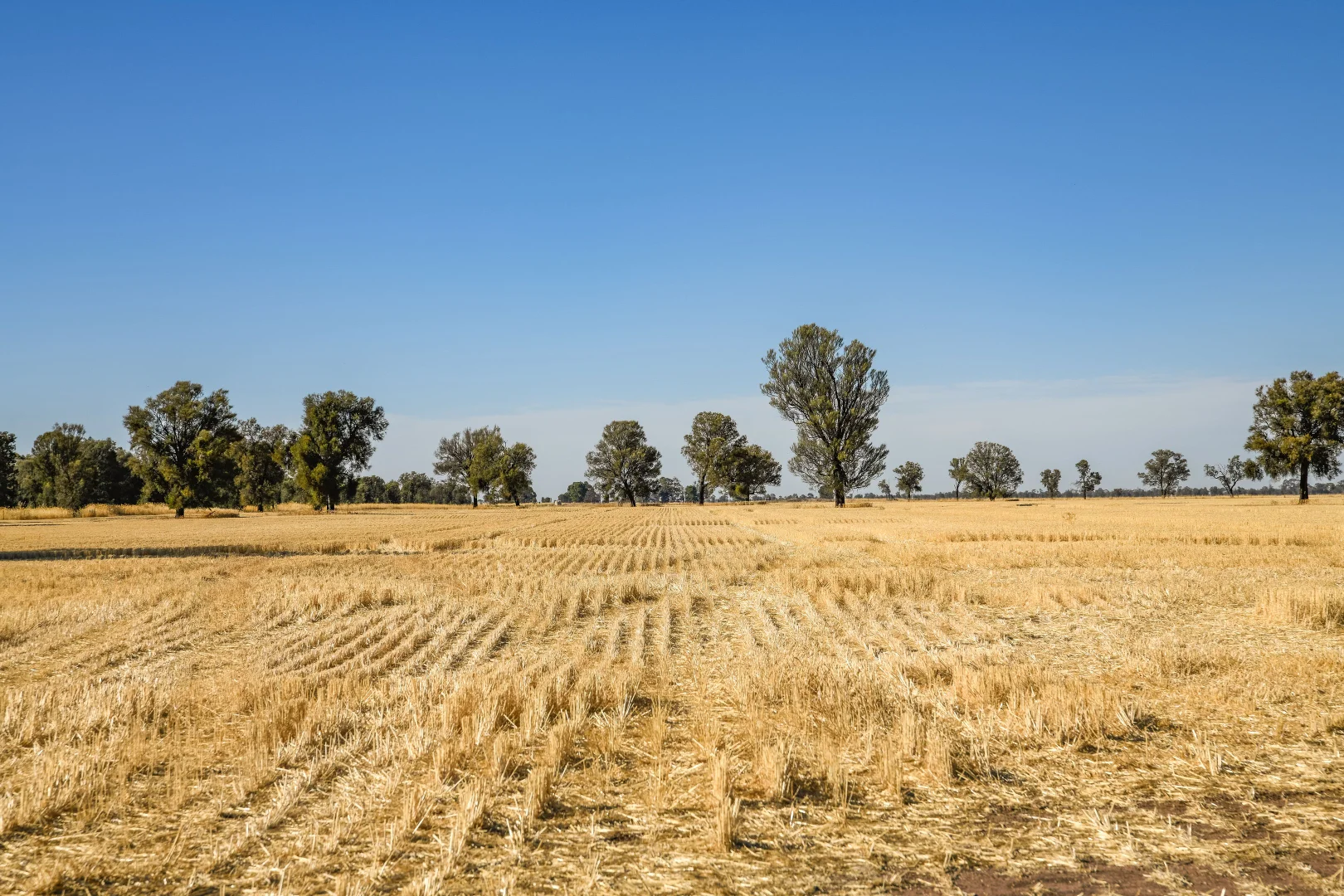 Additional image 10 of CA 37B & CA 38A Natimuk-Hamilton Road, Noradjuha VIC 3409