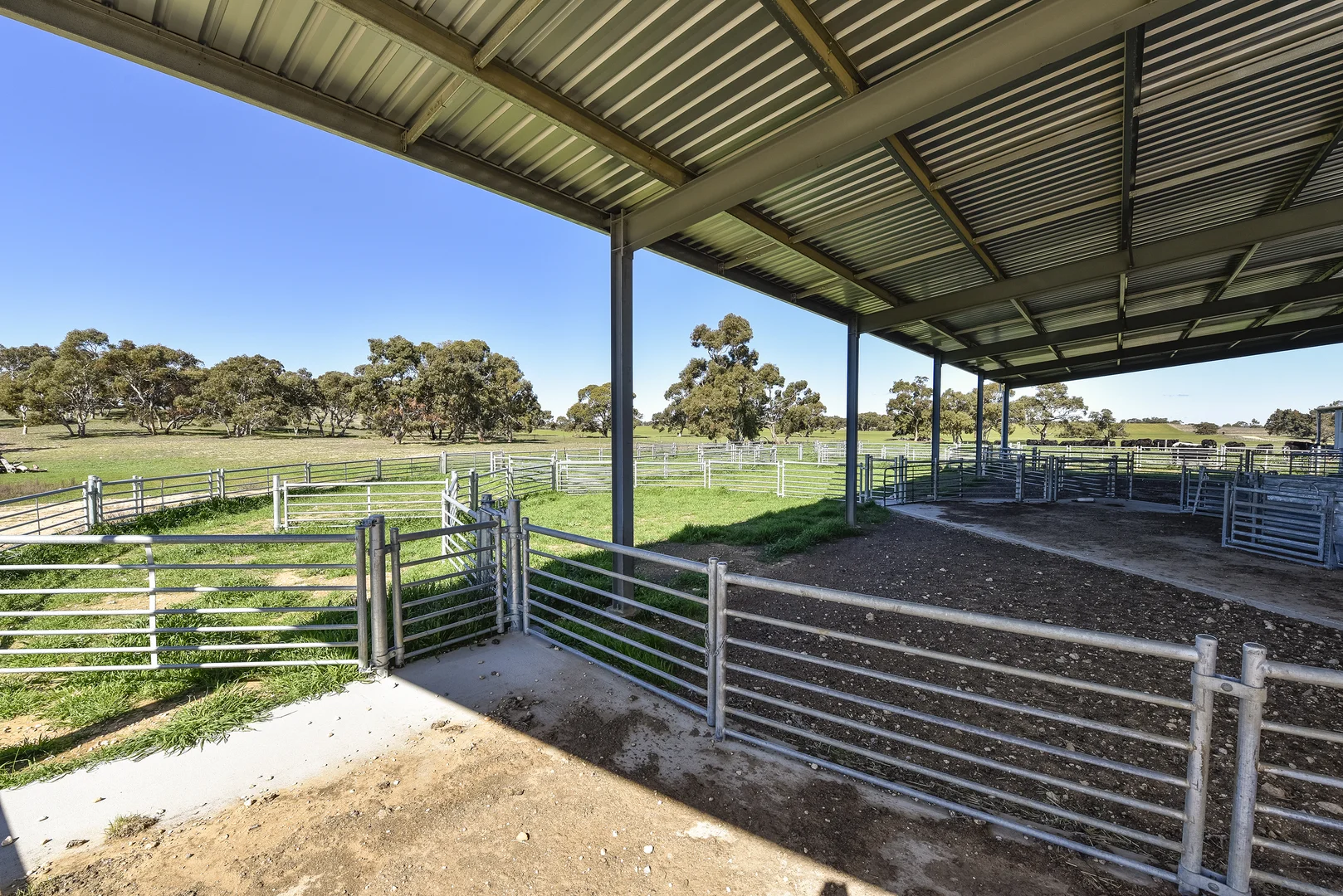 Additional image 37 of 381 & 907 Pascoe Road, Coonalpyn SA 5265