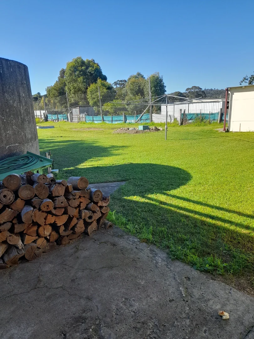 Additional image 19 of 46 O'donnell Street, Emmaville NSW 2371