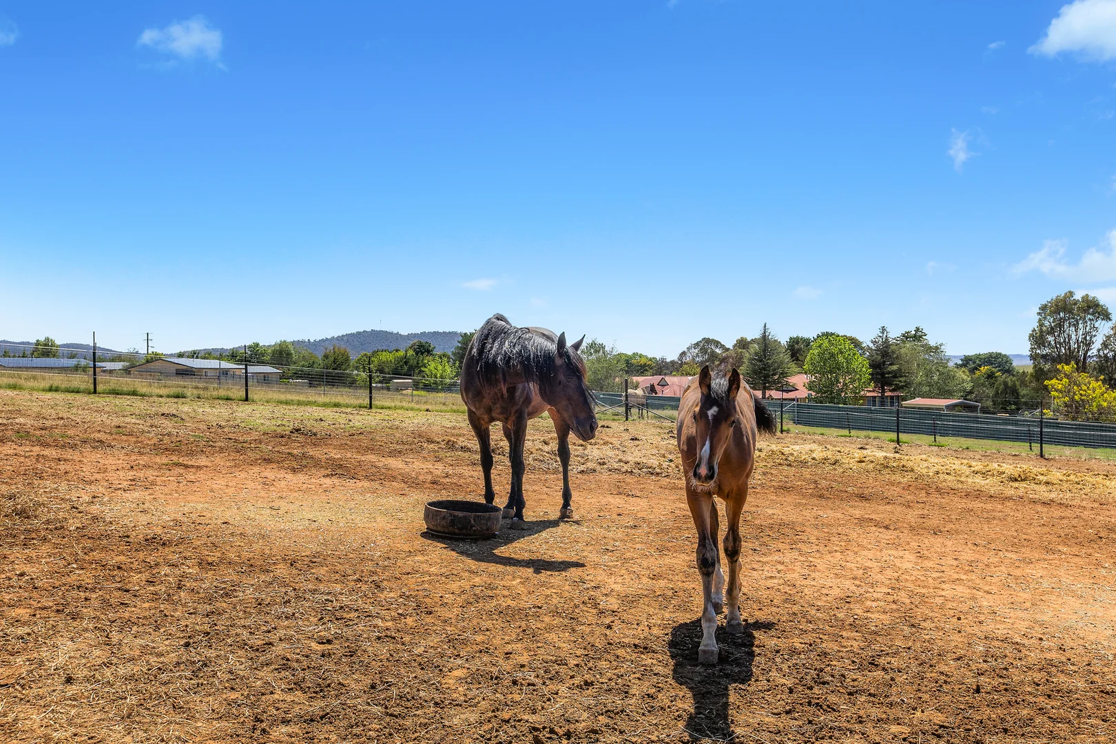 Additional image 11 of 12 Jindalee Street, Berridale NSW 2628