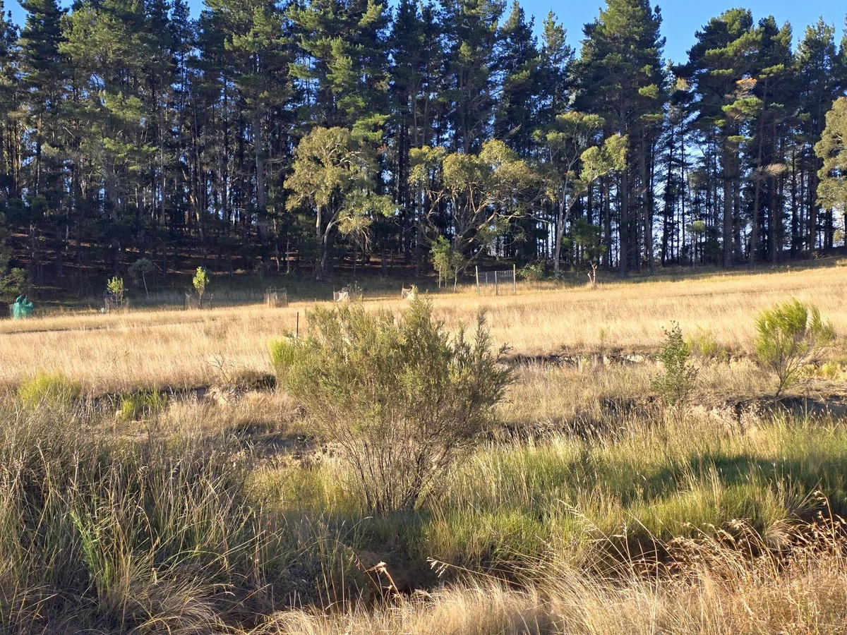 Additional image 9 of 32 Hush Road, Windellama NSW 2580