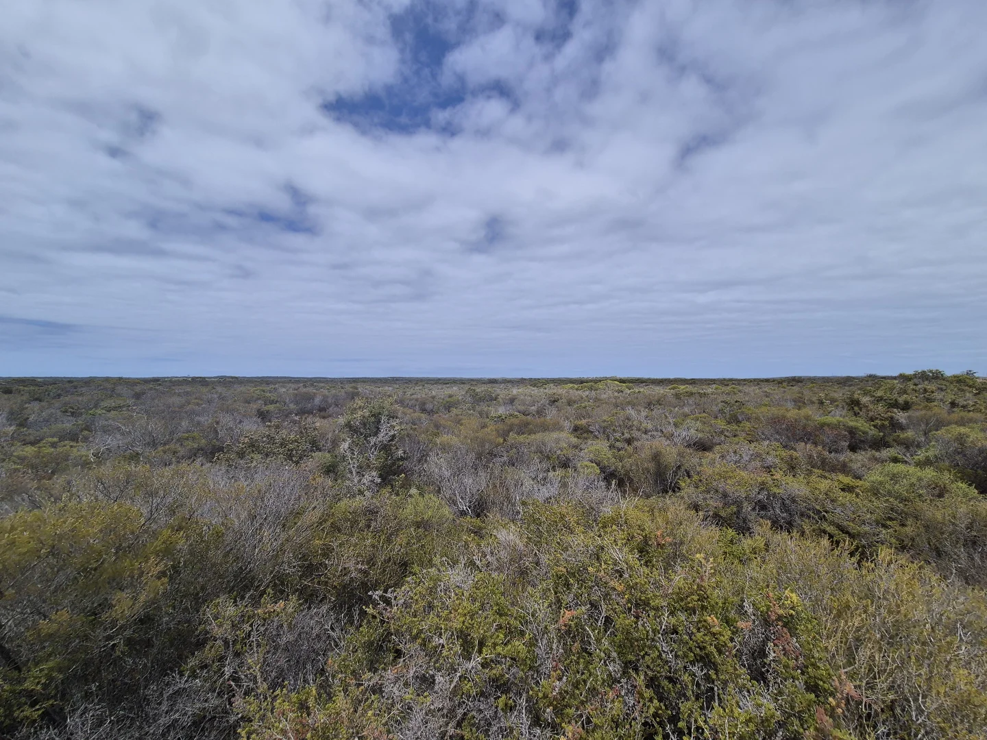 Additional image 16 of 344 Dotterel Drive, Hopetoun WA 6348