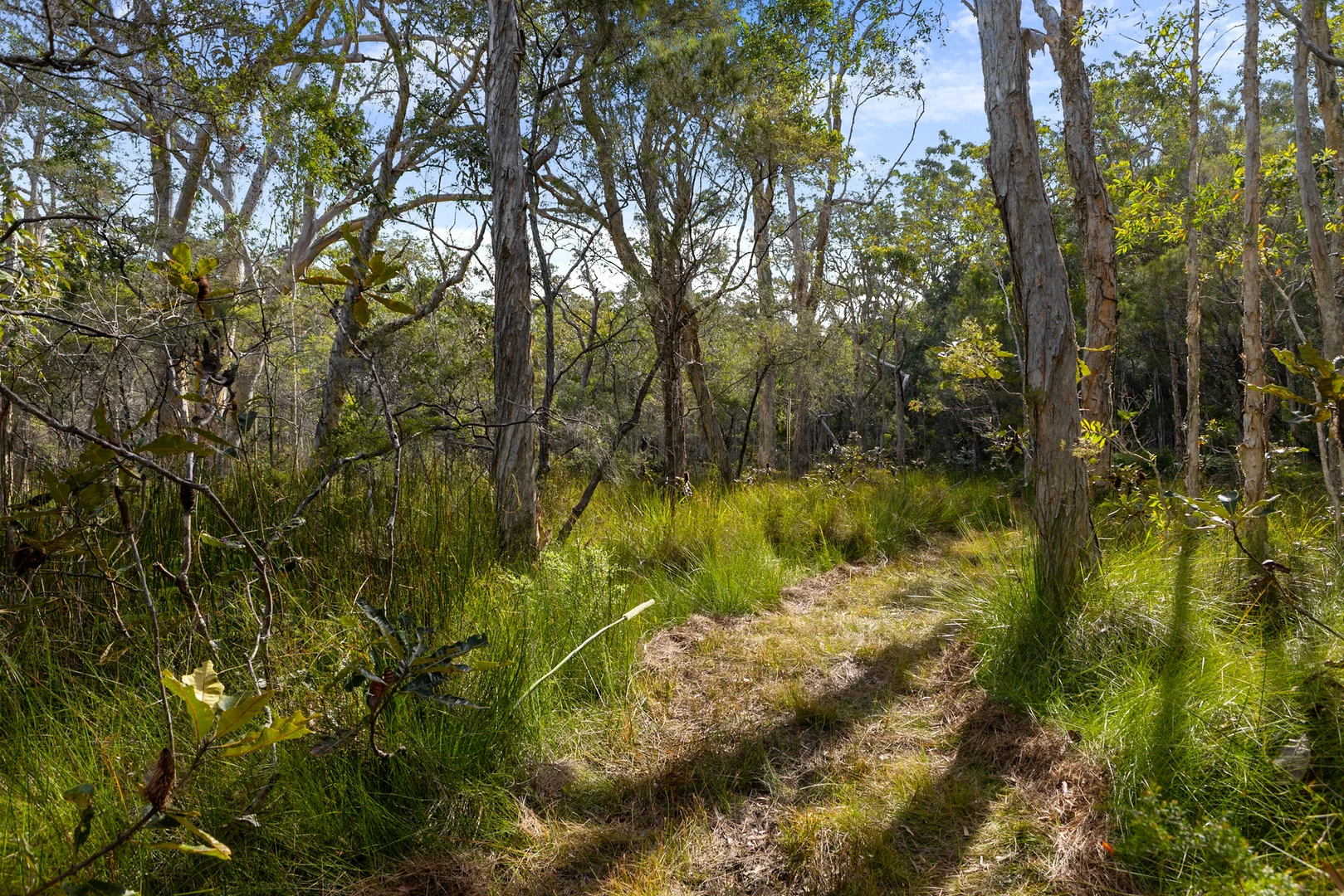 Additional image 8 of 40 Lakewood Drive, Peregian Beach QLD 4573