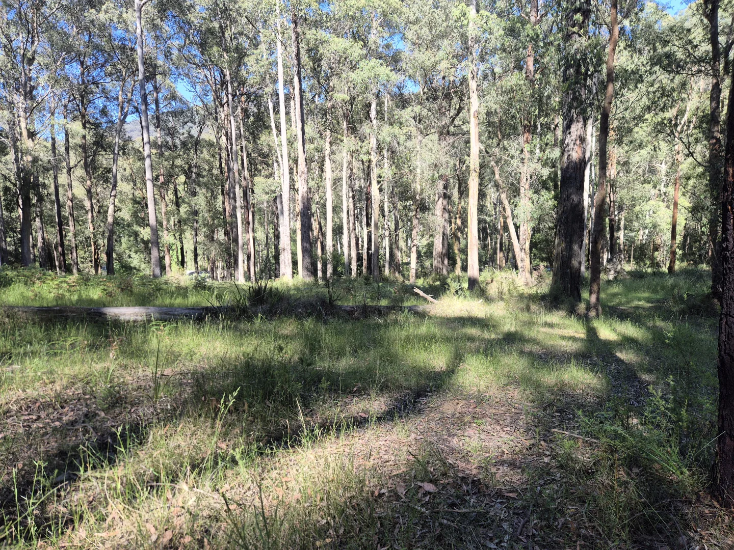 Additional image 7 of 22 Fisherman Drive, Reefton VIC 3799