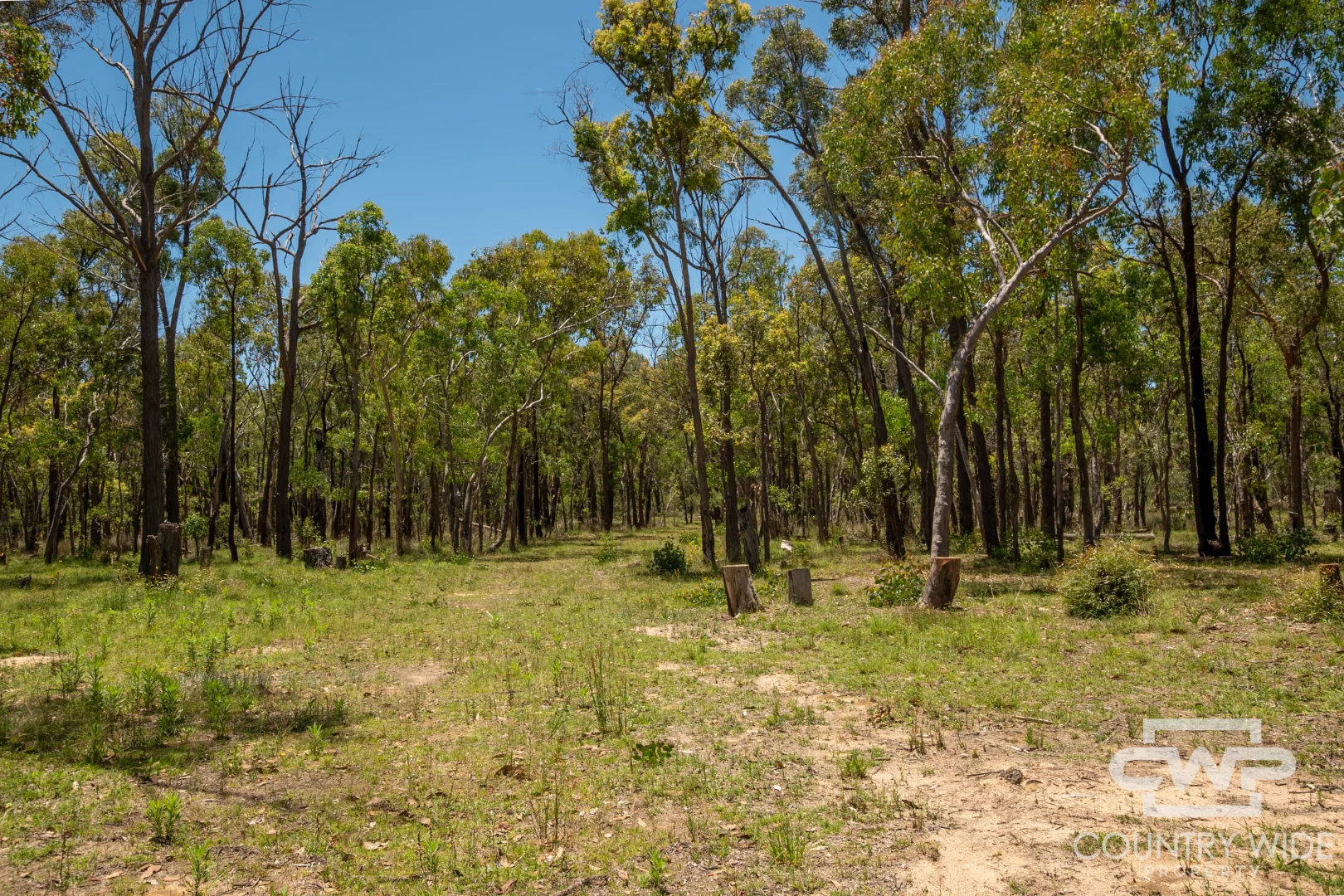 Additional image 24 of 137 Aberdeen Road, Gilgai NSW 2360